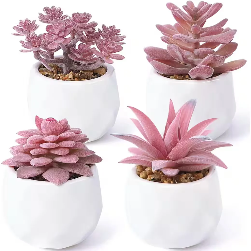 TUWENA Kunstsukkulenten rosa in weißen Keramiktöpfen 4er Set