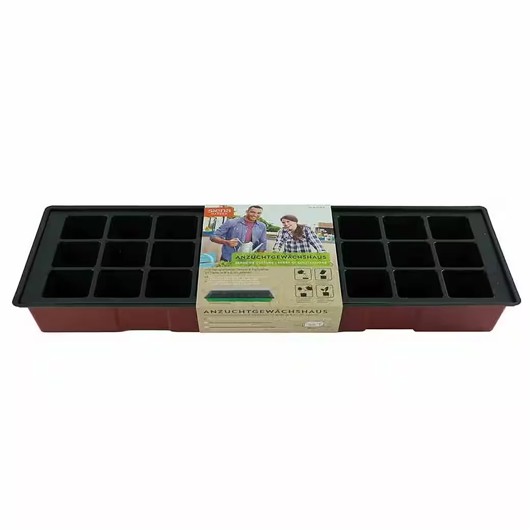 SIENA GARDEN Anzuchtgewächshaus mit klarem Deckel 49,2x15,2x10,5 cm