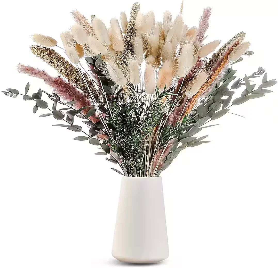 IBETTERTEC Trockenblumen Set Pampasgras Deko 100% natürlich