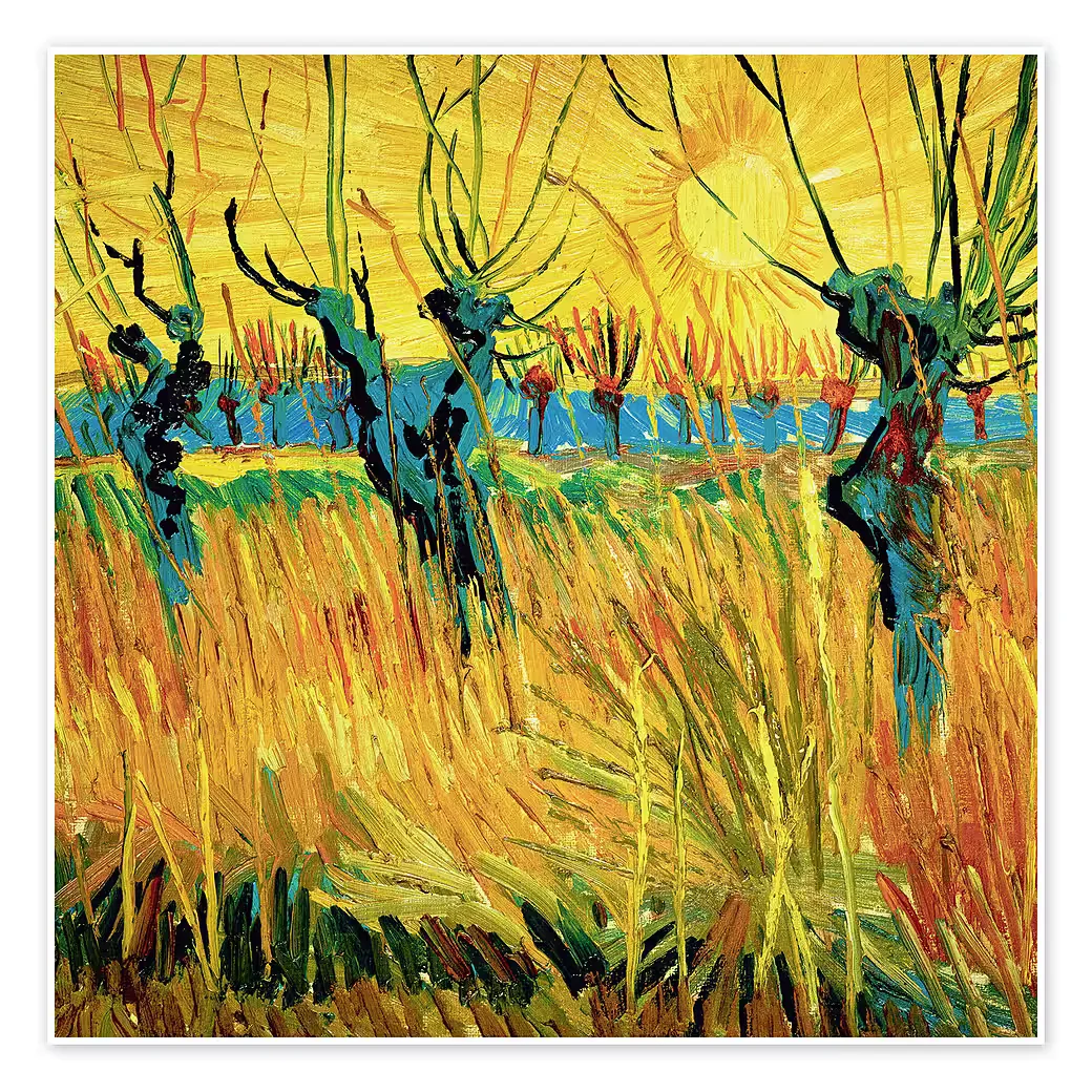 POSTERLOUNGE Wandbild Weiden bei Sonnenuntergang Landschaft