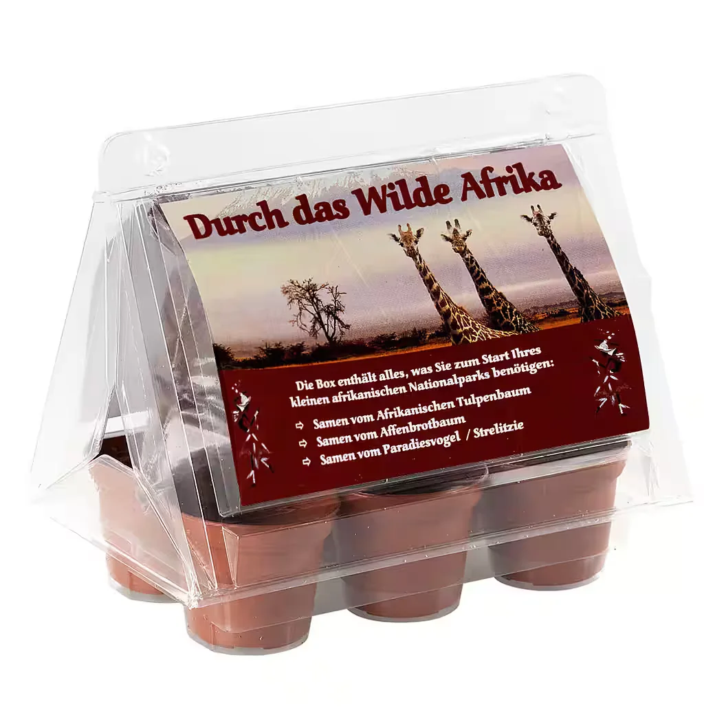 TROPICA Mini Gewächshaus Durch das wilde Afrika mit Tulpenbaum Samen
