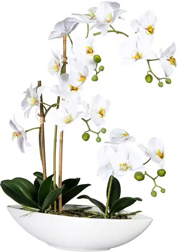 CREATIV GREEN Kunstorchidee Phalaenopsis im Topf Deko